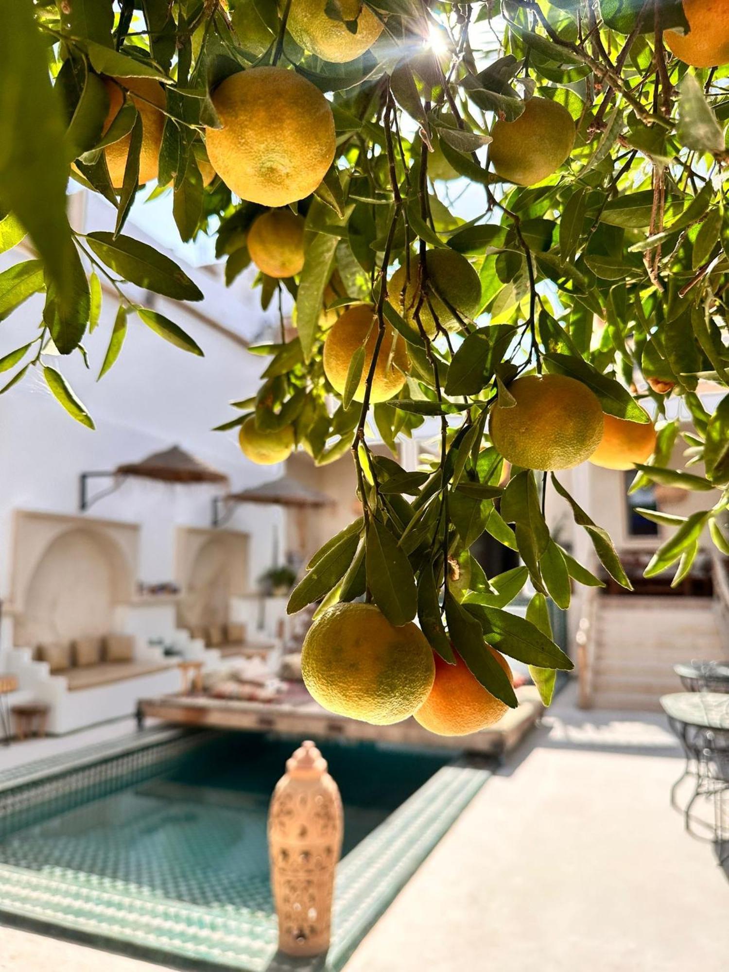 Dar Salam Souss Bed & Breakfast Тарудант Екстериор снимка